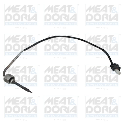 Sensor, exhaust gas temperature